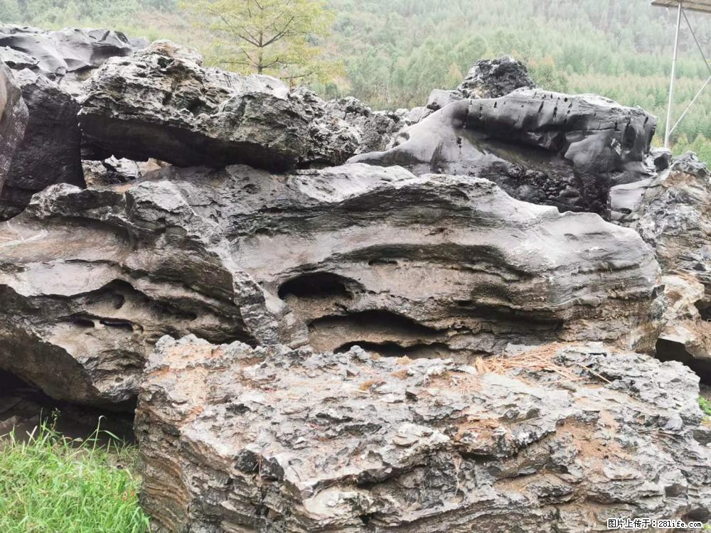 风景石、假山石大量有货,有需要的欢迎联系 - 新手上路 - 达州生活社区 - 达州28生活网 dazhou.28life.net