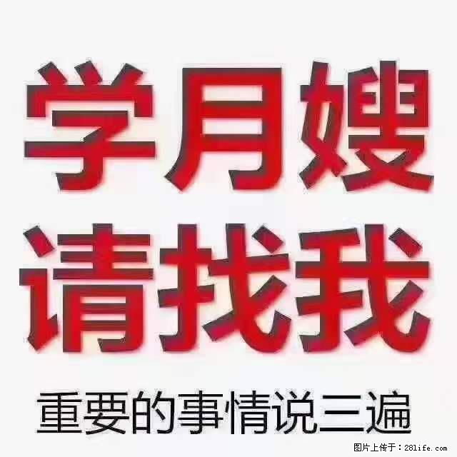 为什么要学习月嫂，育婴师？ - 其他广告 - 广告专区 - 达州分类信息 - 达州28生活网 dazhou.28life.net
