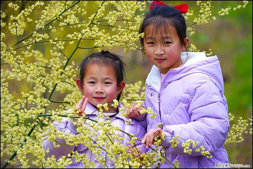 【春天，广西桂林灌阳县向您发出邀请！】米珠山前有片山苍子花在飘香 - 游山玩水 - 达州生活社区 - 达州28生活网 dazhou.28life.net