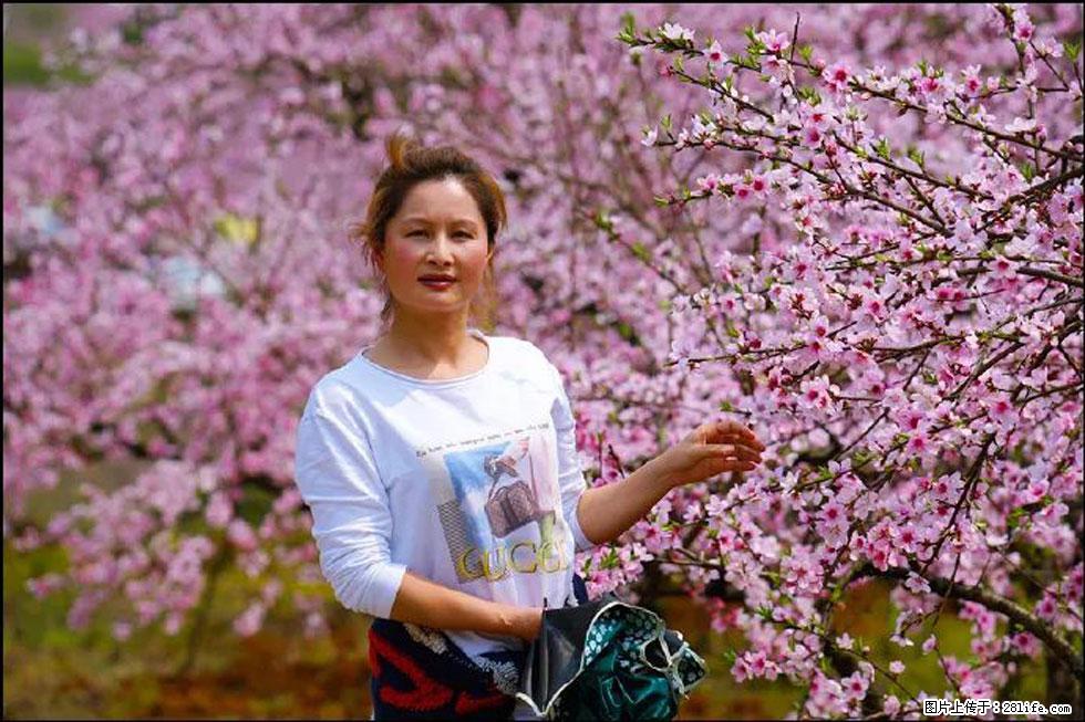 【春天,广西桂林灌阳县向您发出邀请!】官庄村有个醉美的桃花园 - 游山玩水 - 达州生活社区 - 达州28生活网 dazhou.28life.net
