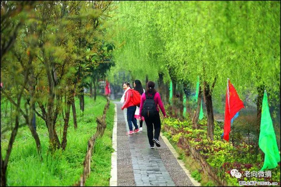 【春天，广西桂林灌阳县向您发出邀请！】江口老街又逢春 - 游山玩水 - 达州生活社区 - 达州28生活网 dazhou.28life.net