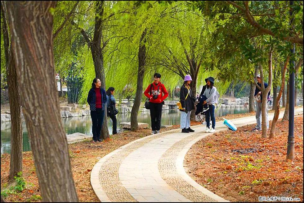 【春天，广西桂林灌阳县向您发出邀请！】江口老街又逢春 - 游山玩水 - 达州生活社区 - 达州28生活网 dazhou.28life.net