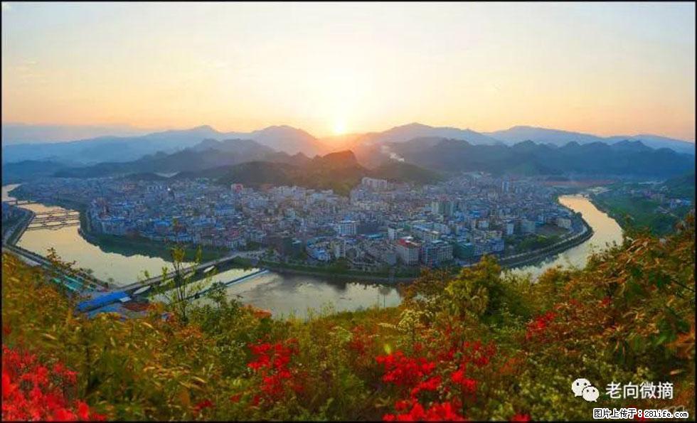 【春天，广西桂林灌阳县向您发出邀请！】登麒麟山，相约映山红 - 游山玩水 - 达州生活社区 - 达州28生活网 dazhou.28life.net