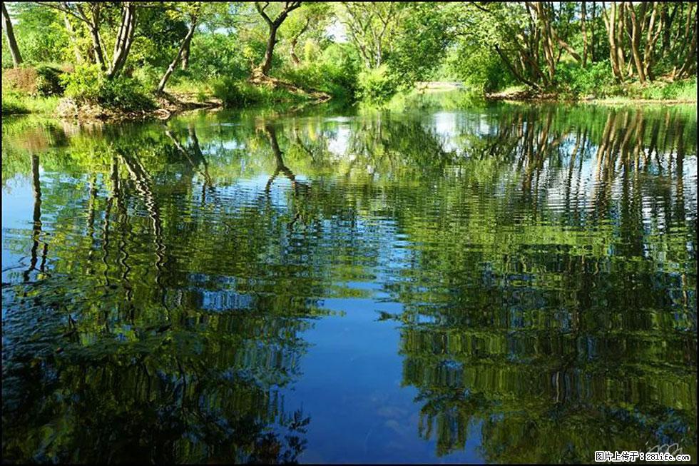 【春天，广西桂林灌阳县向您发出邀请！】熊家寨湿地公园 - 游山玩水 - 达州生活社区 - 达州28生活网 dazhou.28life.net