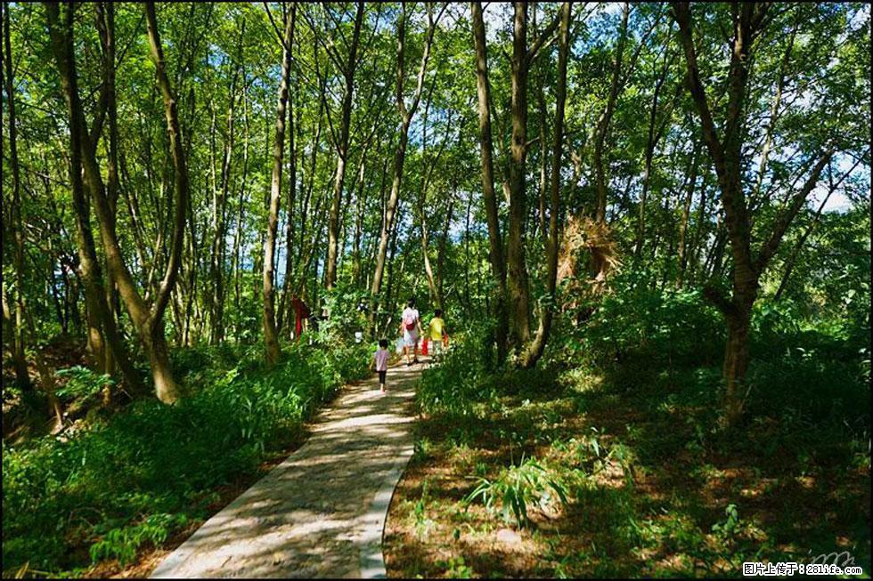 【春天，广西桂林灌阳县向您发出邀请！】熊家寨湿地公园 - 游山玩水 - 达州生活社区 - 达州28生活网 dazhou.28life.net