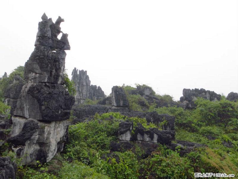 桂林旅游名城景点：灌阳文市石林 - 游山玩水 - 达州生活社区 - 达州28生活网 dazhou.28life.net