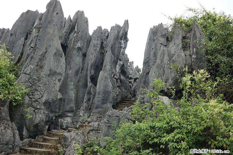 桂林旅游名城景点：灌阳文市石林 - 游山玩水 - 达州生活社区 - 达州28生活网 dazhou.28life.net