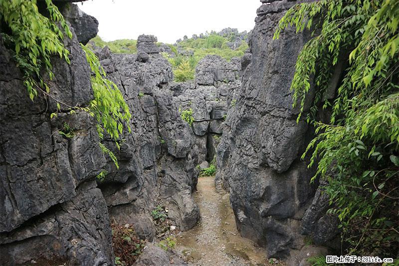 桂林旅游名城景点：灌阳文市石林 - 游山玩水 - 达州生活社区 - 达州28生活网 dazhou.28life.net