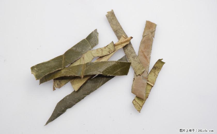 苦丁茶有哪些功效和作用 - 生活百科 - 达州生活社区 - 达州28生活网 dazhou.28life.net