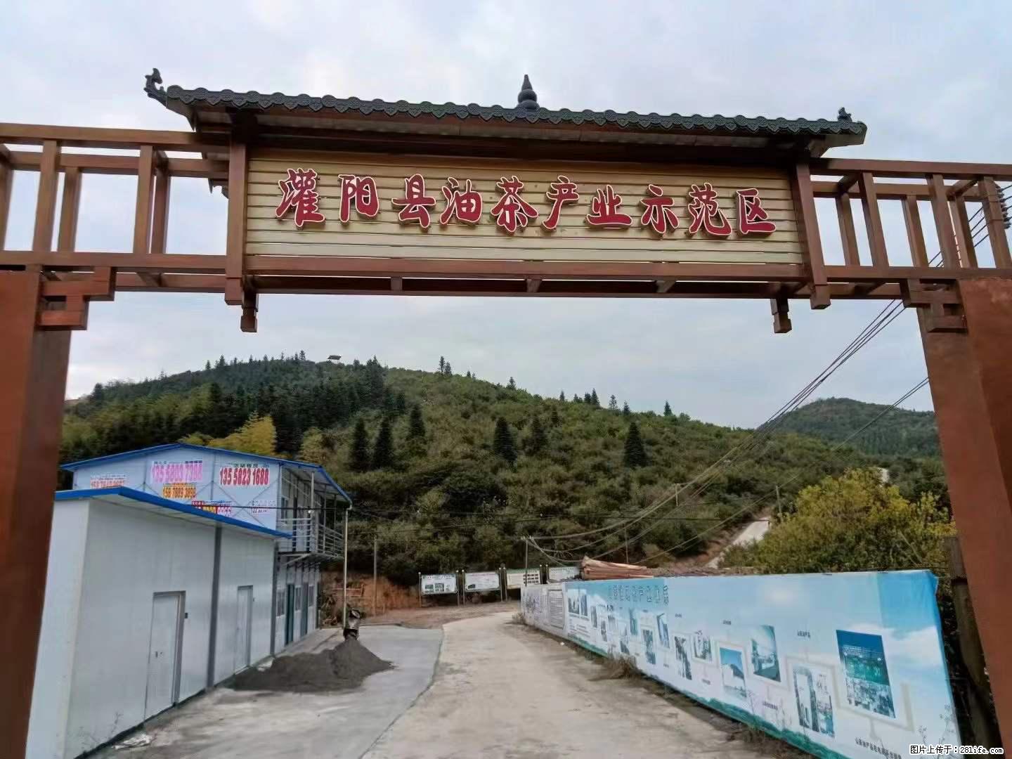 【灌阳县油茶产业示范区】一个有着充实的精神生活的人，对待身外之物自会有一种淡泊的态度 - 土特产 - 饮食特产 - 达州分类信息 - 达州28生活网 dazhou.28life.net