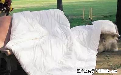 被子有异味？只要这样做，比晒太阳还强100倍！ - 家居生活 - 达州生活社区 - 达州28生活网 dazhou.28life.net