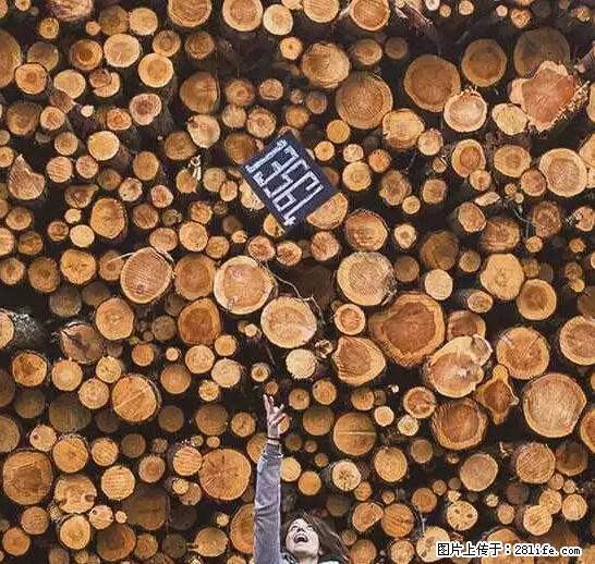 辞掉工作周游世界？现在他们在洗厕所…… - 游山玩水 - 达州生活社区 - 达州28生活网 dazhou.28life.net