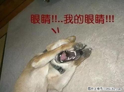 笑癫了!一女的怀孕三年未生,他终于忍不住了... - 娱乐八卦 - 达州生活社区 - 达州28生活网 dazhou.28life.net