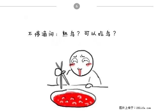 千万不要和这9种哈卵一起吃火锅！ - 美食天地 - 达州生活社区 - 达州28生活网 dazhou.28life.net