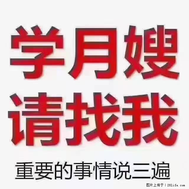 【招聘】月嫂，上海徐汇区 - 职场交流 - 达州生活社区 - 达州28生活网 dazhou.28life.net