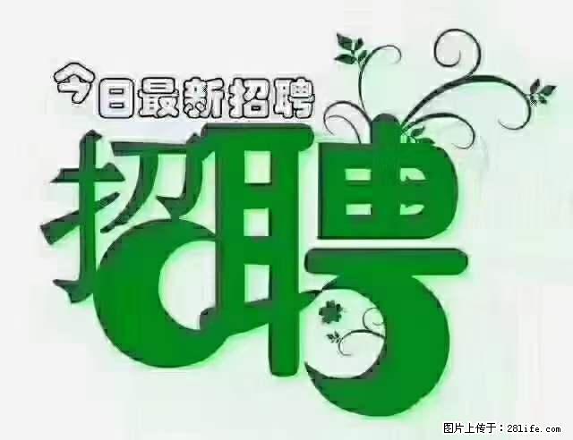 上海青浦区招仓管 - 职场交流 - 达州生活社区 - 达州28生活网 dazhou.28life.net