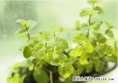 晕车、脚气、牙齿变黄、皮肤粗糙？学会这些三分钟搞定！ - 达州生活资讯 - 达州28生活网 dazhou.28life.net