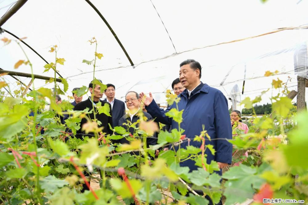 习近平赴广西考察调研 - 达州生活资讯 - 达州28生活网 dazhou.28life.net