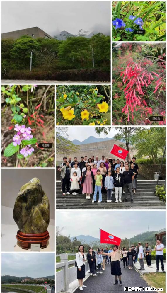 “粤灌文化 美好生活”油茶文化主题活动在广东深圳成功举办 - 达州生活资讯 - 达州28生活网 dazhou.28life.net