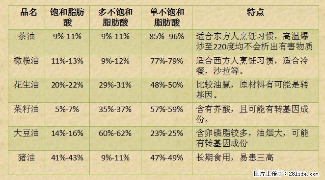 揭秘茶油的5大核心营养成分！被称为人体健康的“守护盾”！ - 达州生活资讯 - 达州28生活网 dazhou.28life.net