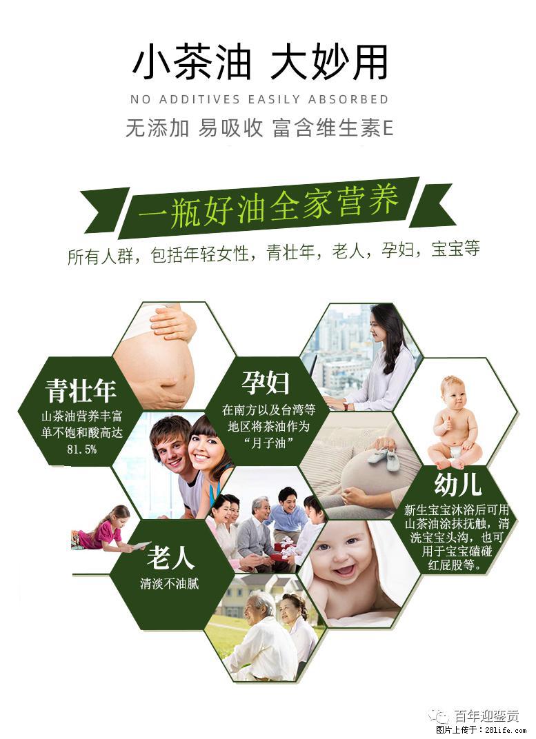 世界没有真相,只有认知,最好的食用油是中国的山茶油! - 达州生活资讯 - 达州28生活网 dazhou.28life.net