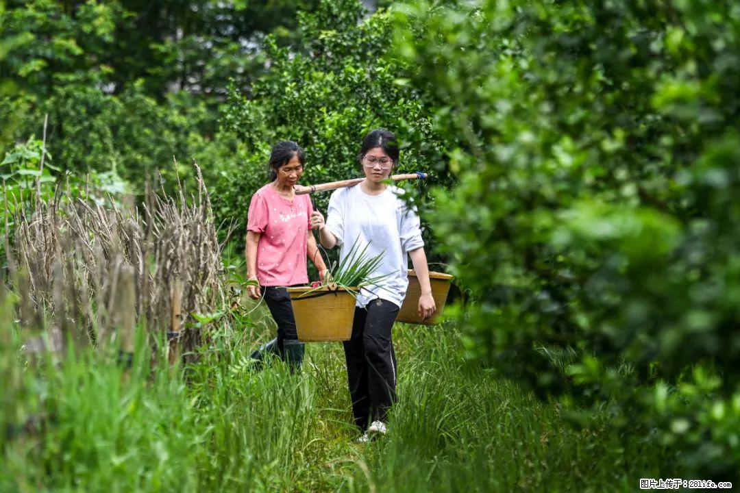 全网追的“扁担女孩”，找了一份暑假工，时薪12元 - 达州生活资讯 - 达州28生活网 dazhou.28life.net