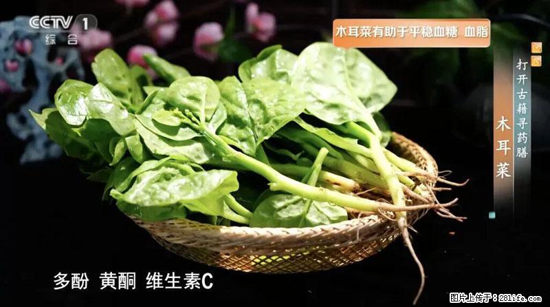 比牛奶补钙还厉害！凉血解毒、稳血糖...这菜冬天必吃，很多人却当草 - 达州生活资讯 - 达州28生活网 dazhou.28life.net