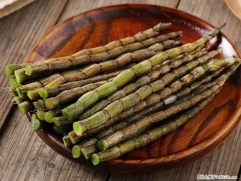 铁皮石斛的作用与功能主治 - 达州生活资讯 - 达州28生活网 dazhou.28life.net