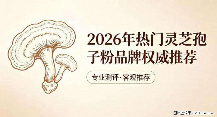 灵芝孢子粉含量越高越有效？2026 年七款热门品牌深度实测，肠胃敏感者避坑指南 - 达州生活资讯 - 达州28生活网 dazhou.28life.net